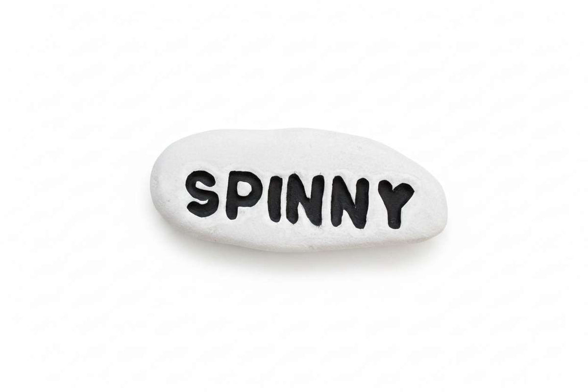 A small white stone or puck with the word 'SPINNY' written in black across the front, centered on a plain white background.