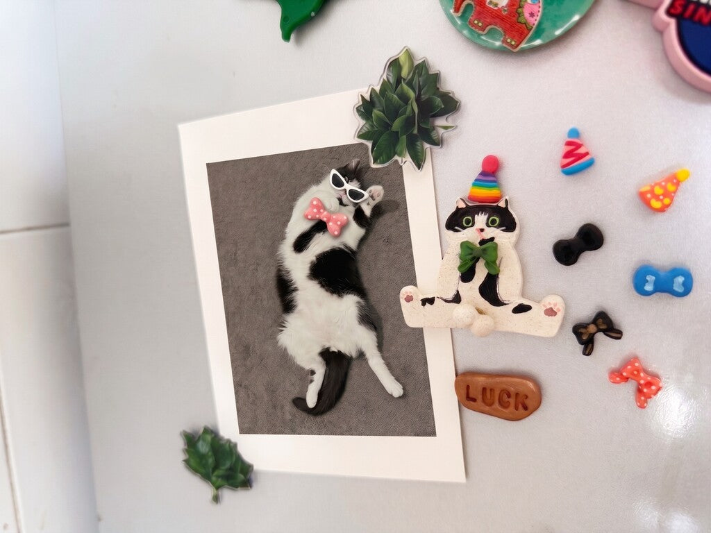 A white rectangular card or print featuring a black-and-white cat wearing sunglasses and a pink bow tie, placed on a light surface with small decorative magnets and accessories around it.