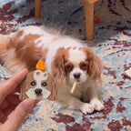A small brown and white dog lies on a blue and beige patterned rug while chewing a bone-shaped treat. A human hand holds up a dog-face accessory in the foreground.
