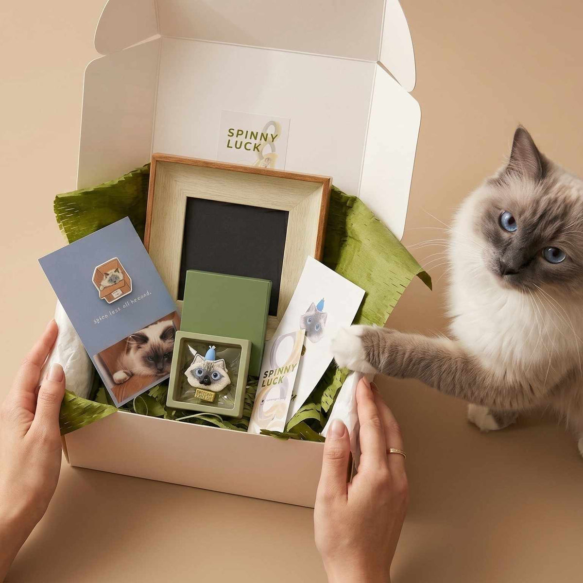 A person holds open a white gift box filled with pet-themed items, including a framed print, a small green box, cards, and a pin, while a fluffy cream-and-gray cat reaches in with its paw. The box lid shows the brand name 'SPINNY LUCK'.